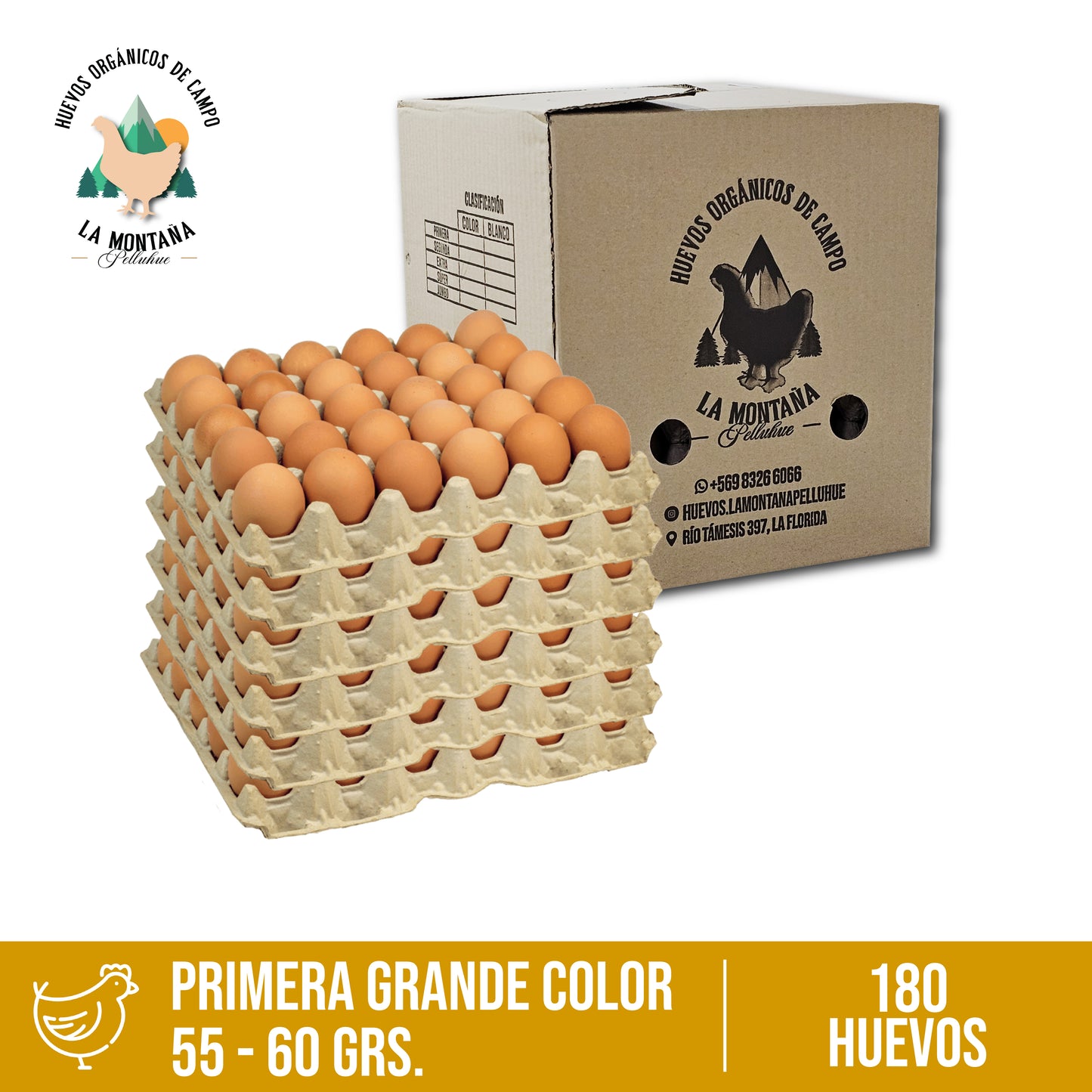 Caja huevos color Primera 180 unidades