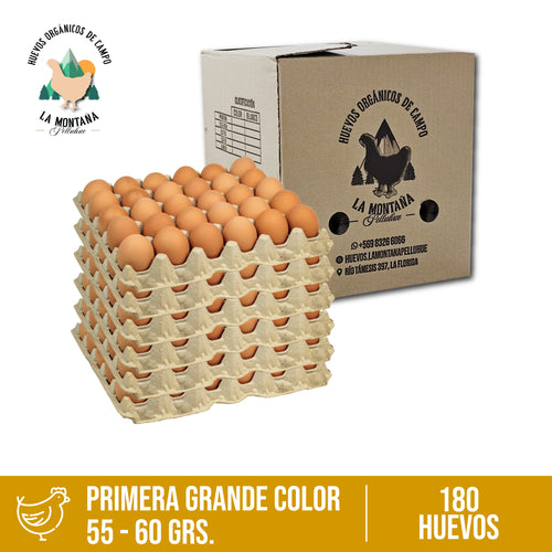 Caja huevos color Primera 180 unidades