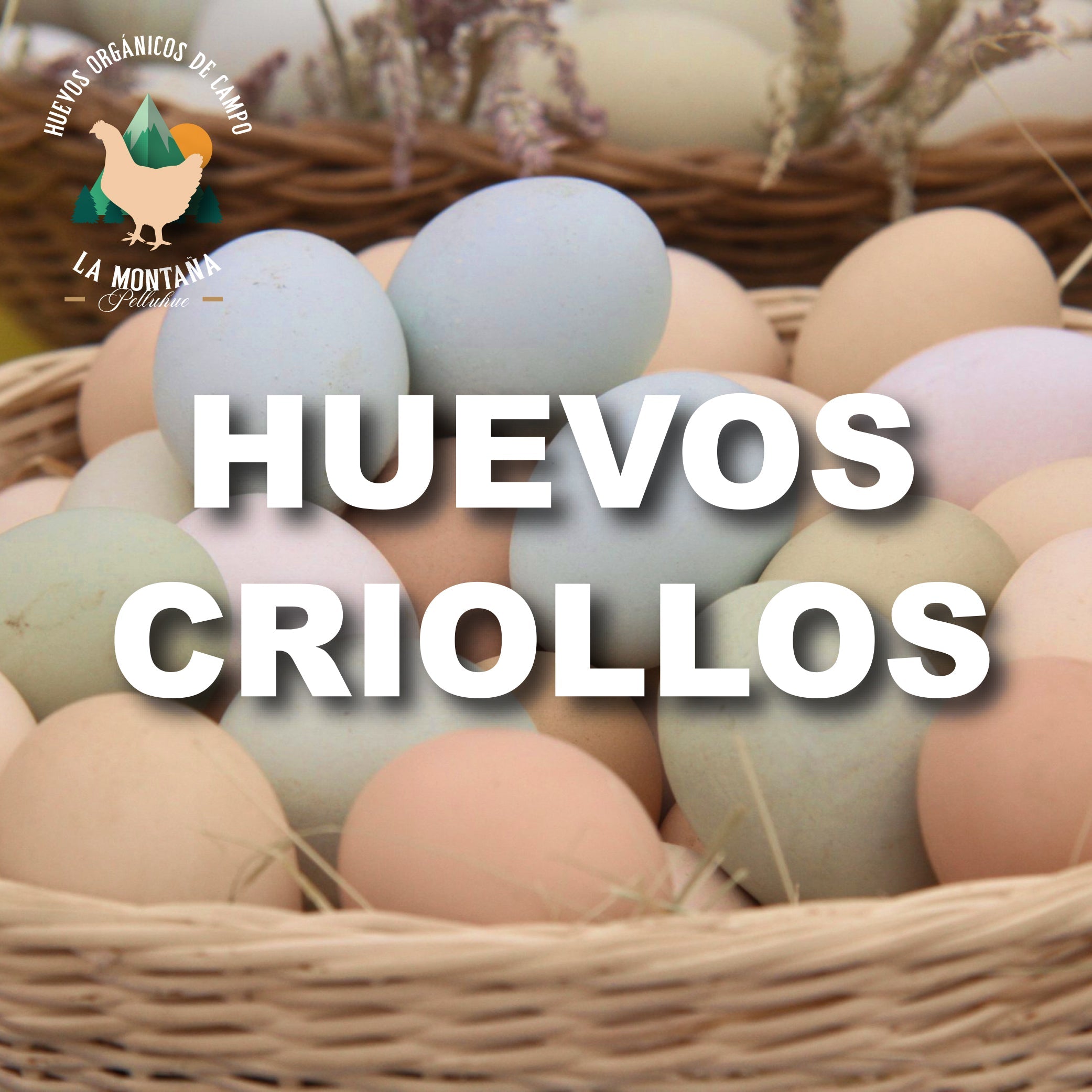 HUEVOS CRIOLLOS