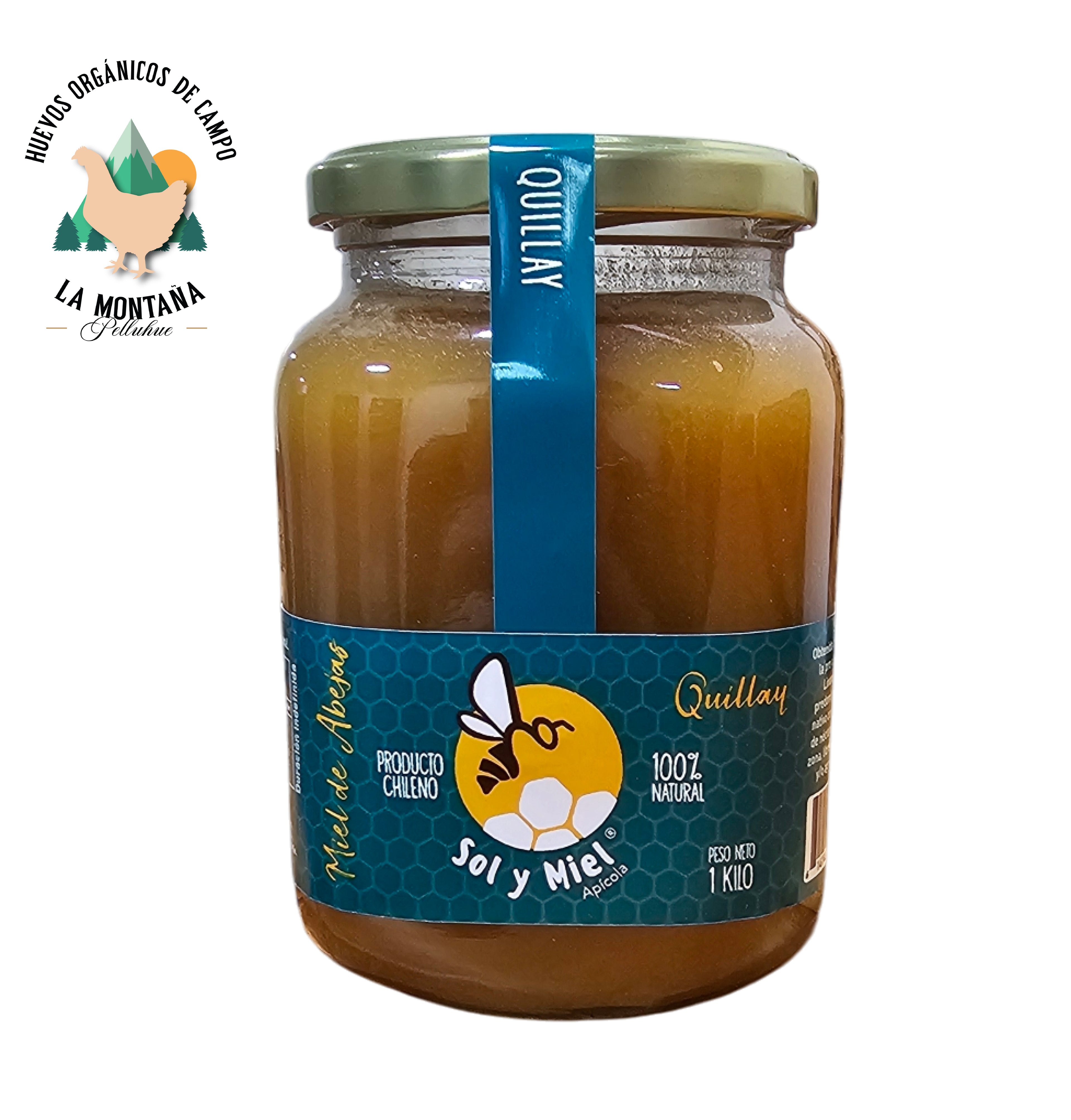Miel de Quillay 1 kg