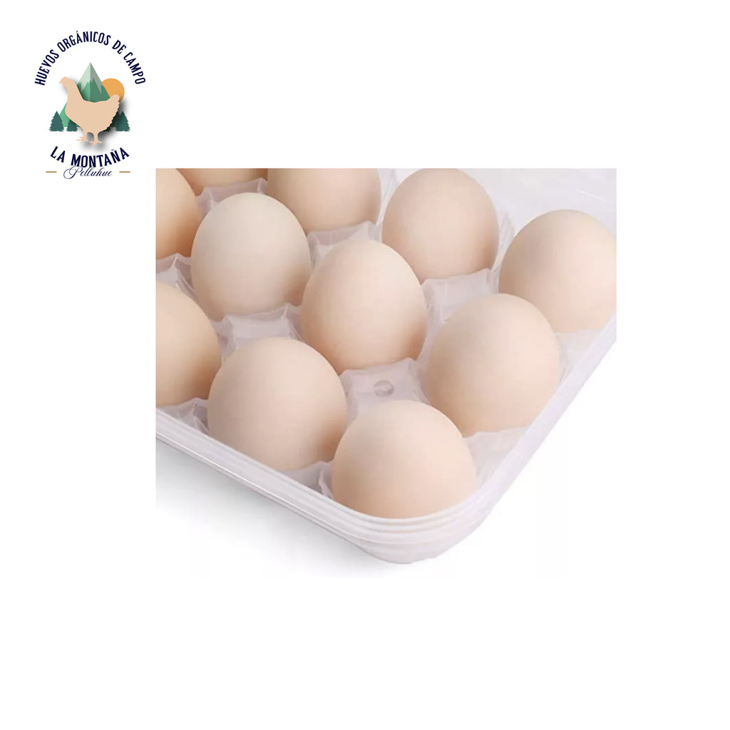 Organizador plástico huevos 24 unidades