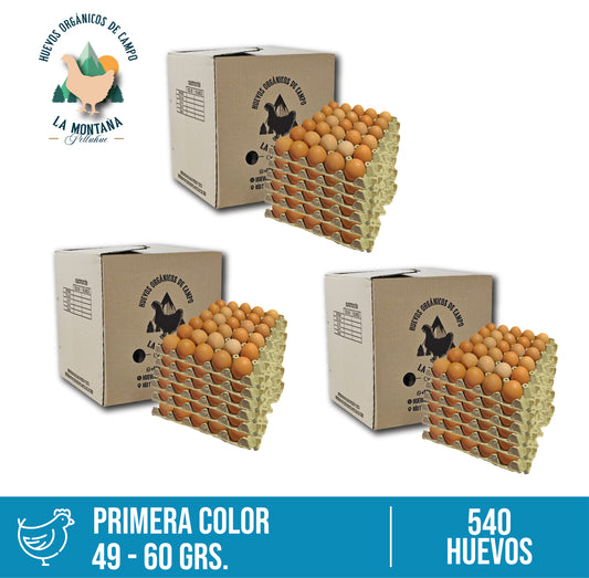 pack de 3 cajas 180 huevos primera color