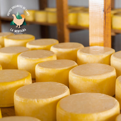 Queso mantecoso de Frutillar 1 Kilo