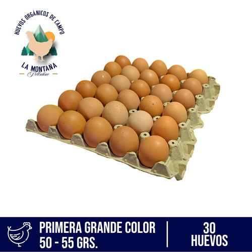 Bandeja huevos color primera 30 unidades