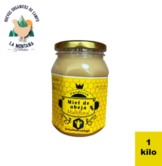 Miel multifloral 1 Kilo