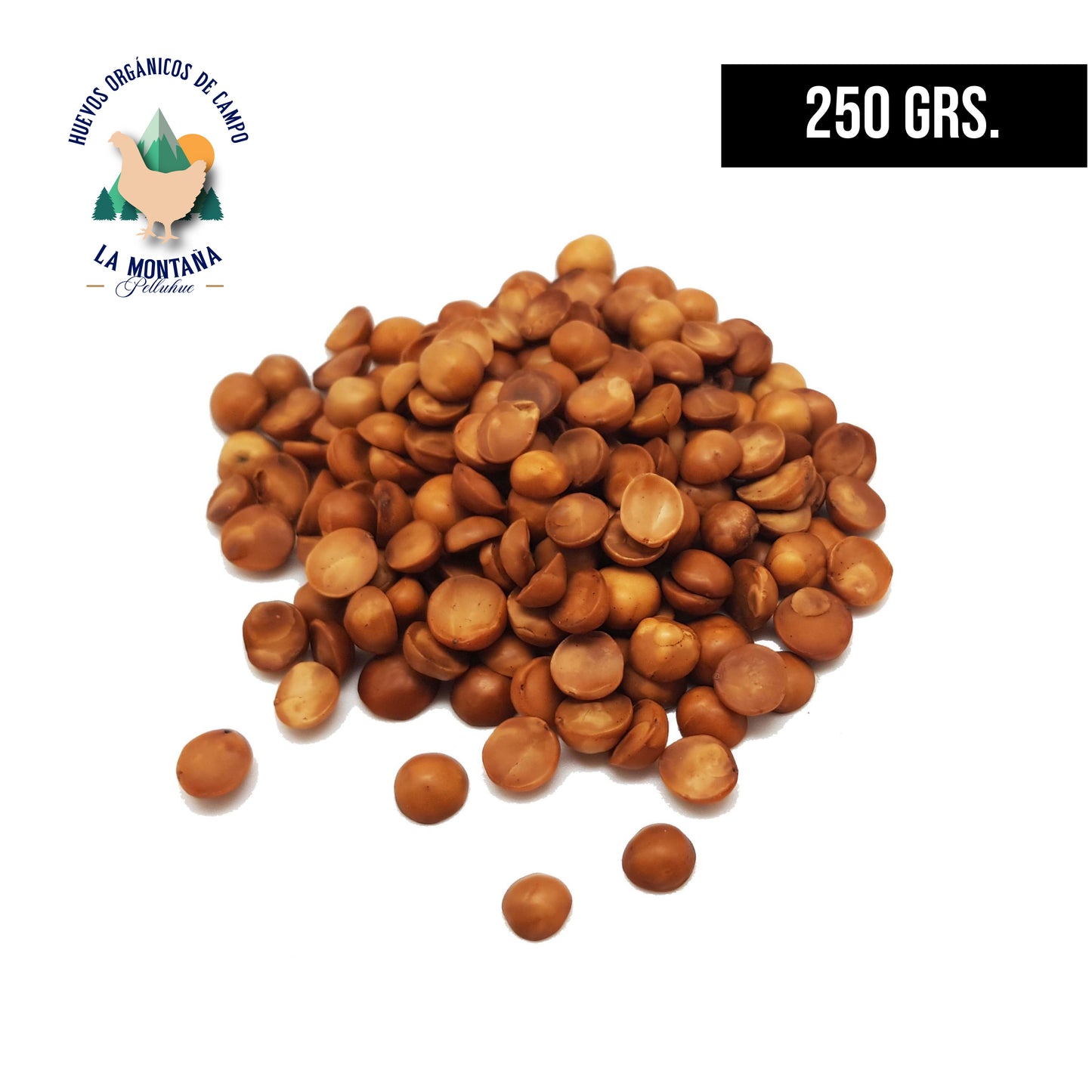 Avellana chilena tostada 250 gr