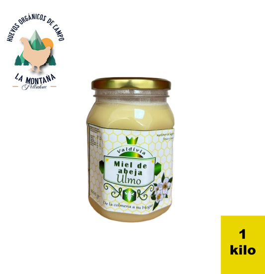 Miel de Ulmo 1 Kilo