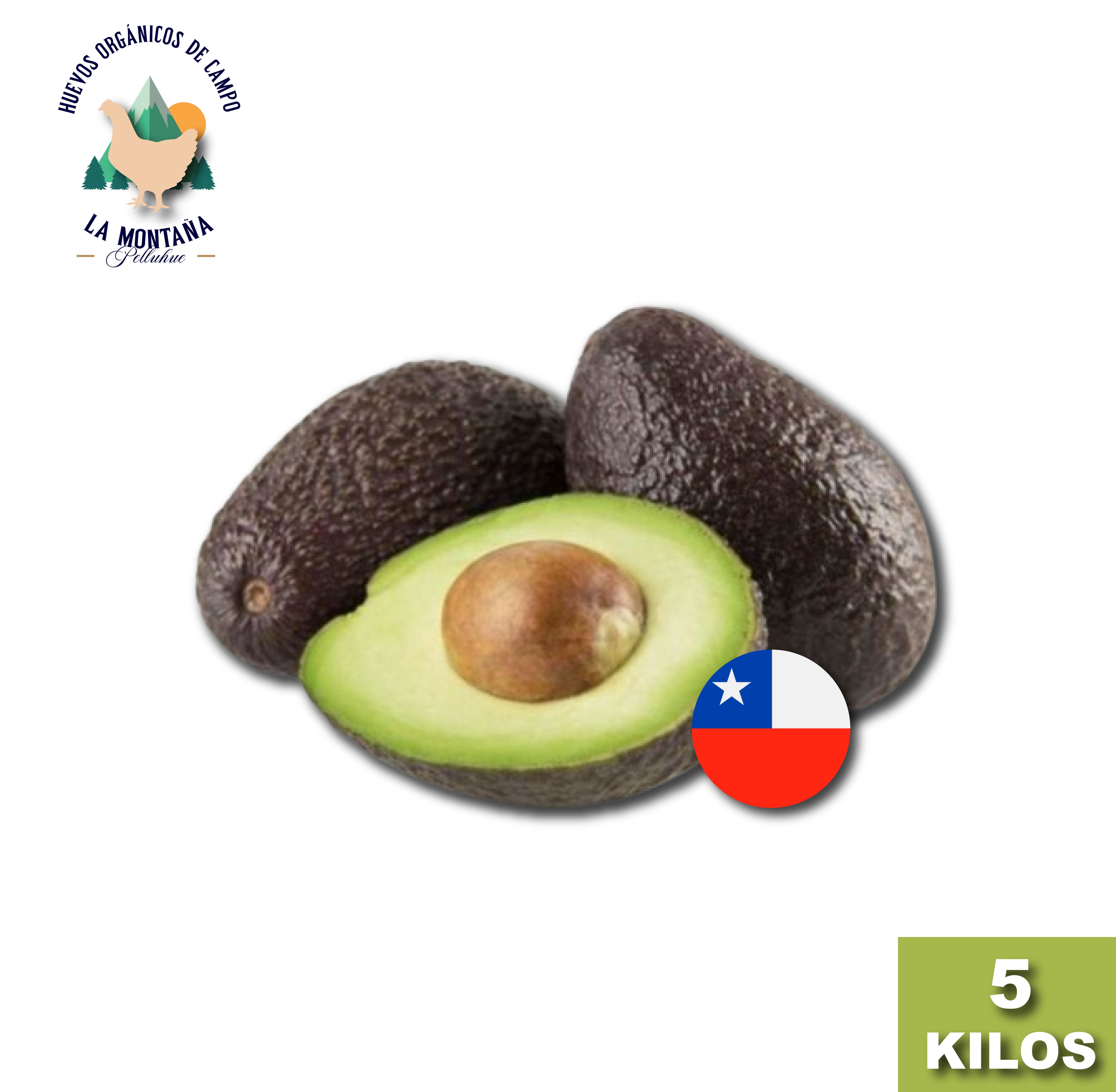 Palta Hass Chilena 5 kilos