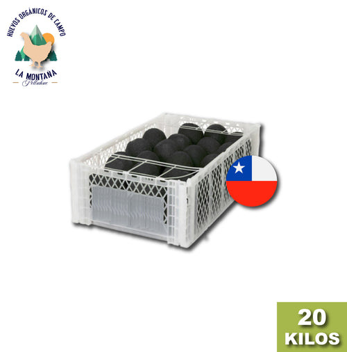 Caja Palta Hass Chilena 20 Kilos