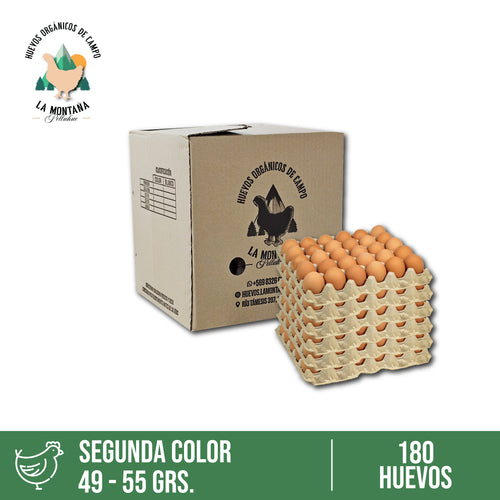 Caja huevos color Segunda 180 unidades