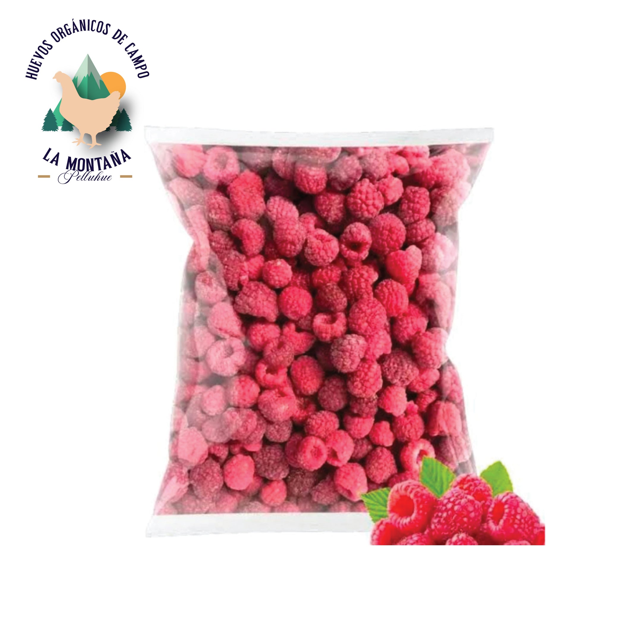Frambuesa congelada 1 Kg