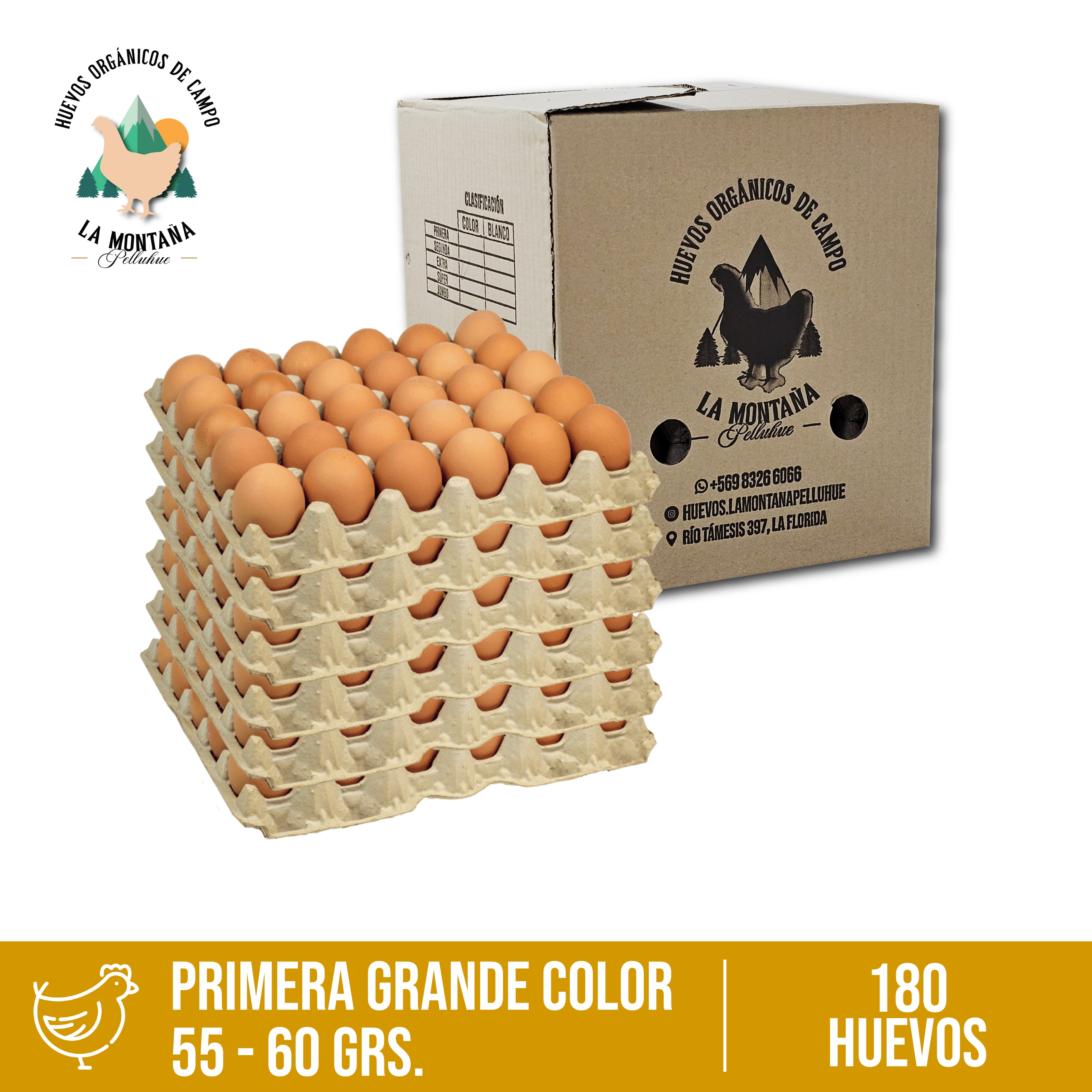 Caja huevos color Primera 180 unidades