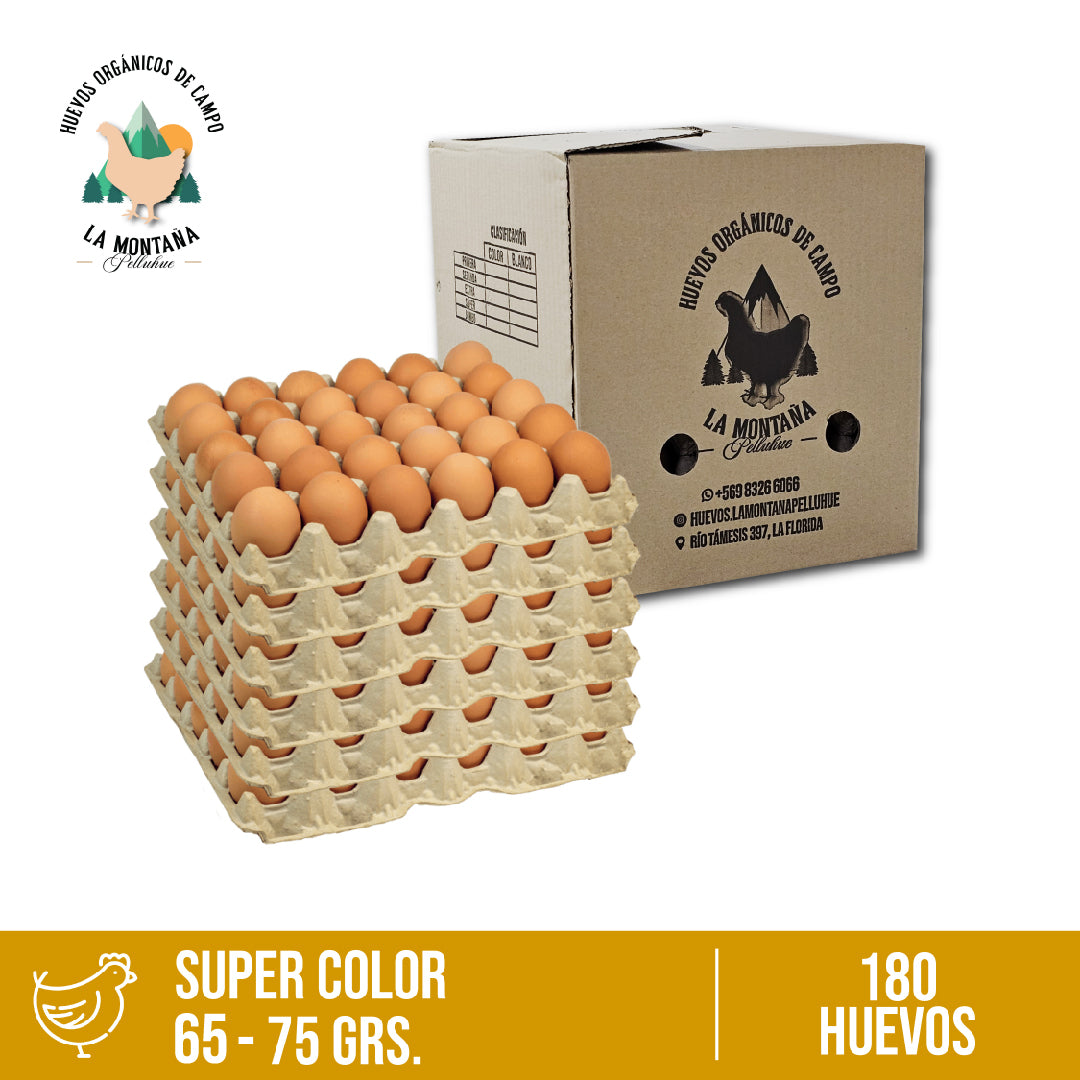 Caja huevos color Super 180 unidades