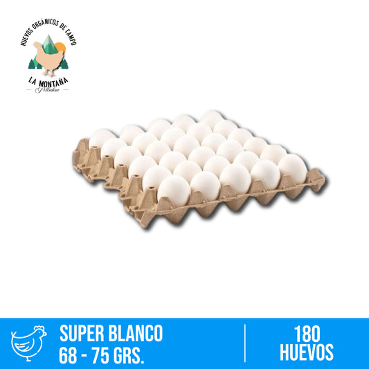 Bandeja huevos Super blanco 30 unidades