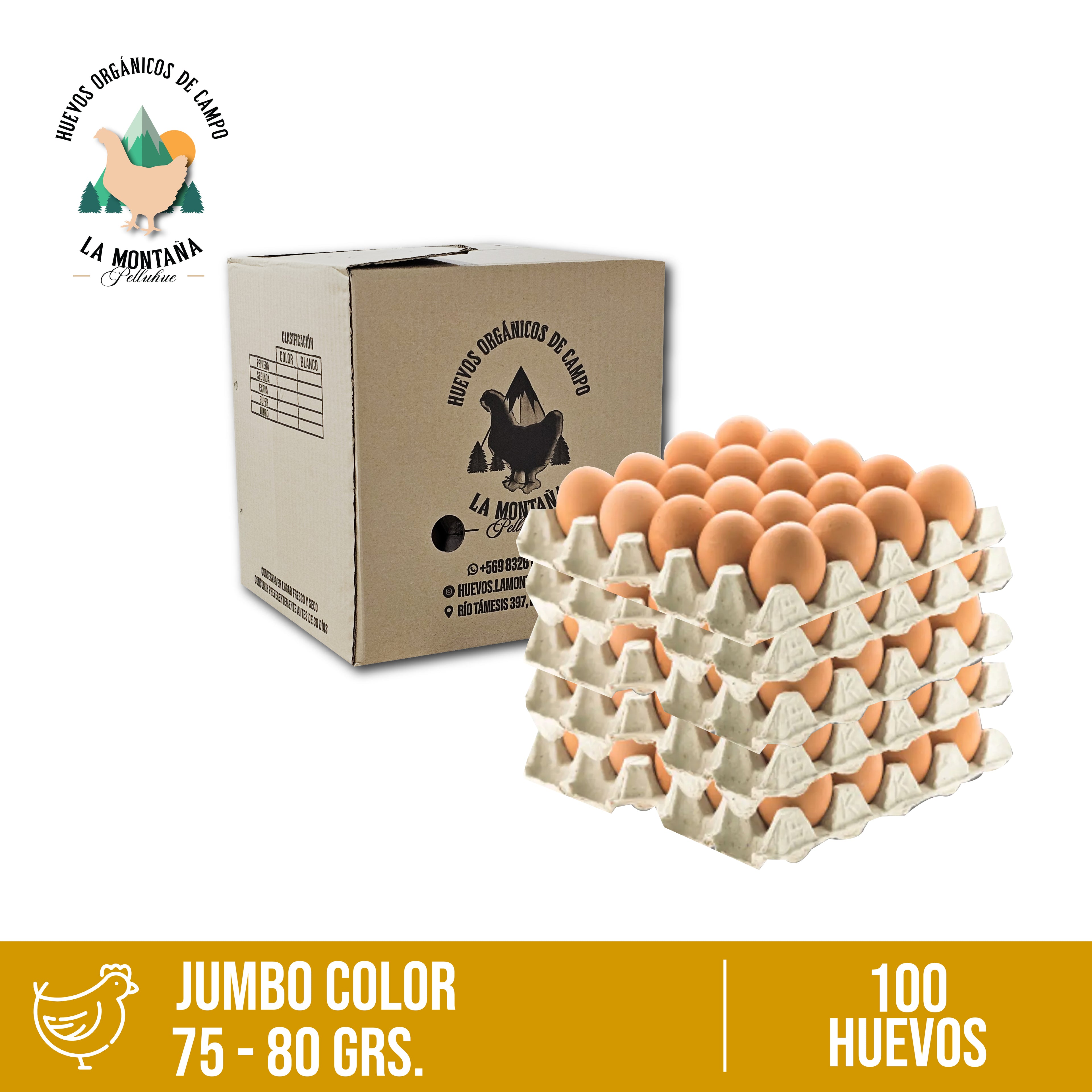 Caja huevos color Jumbo 100 unidades