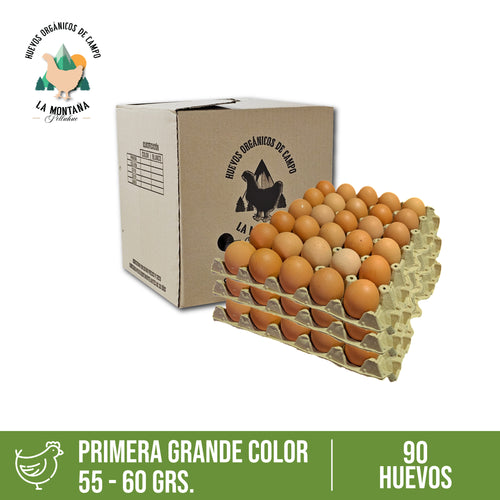 Caja huevos Primera color 90 unidades