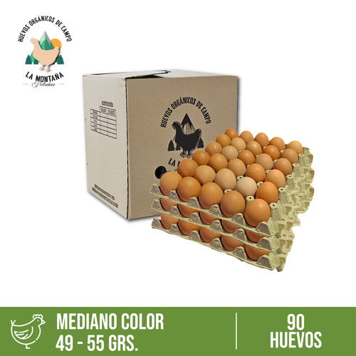 Caja huevos color segunda 90 unidades