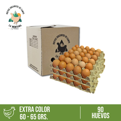Caja huevos color Extra 90 unidades