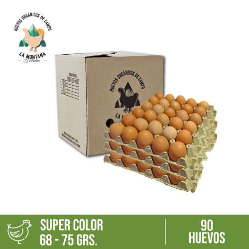 Caja huevos color Super 90 unidades