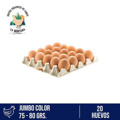 Bandeja huevos Jumbo color 20 unidades